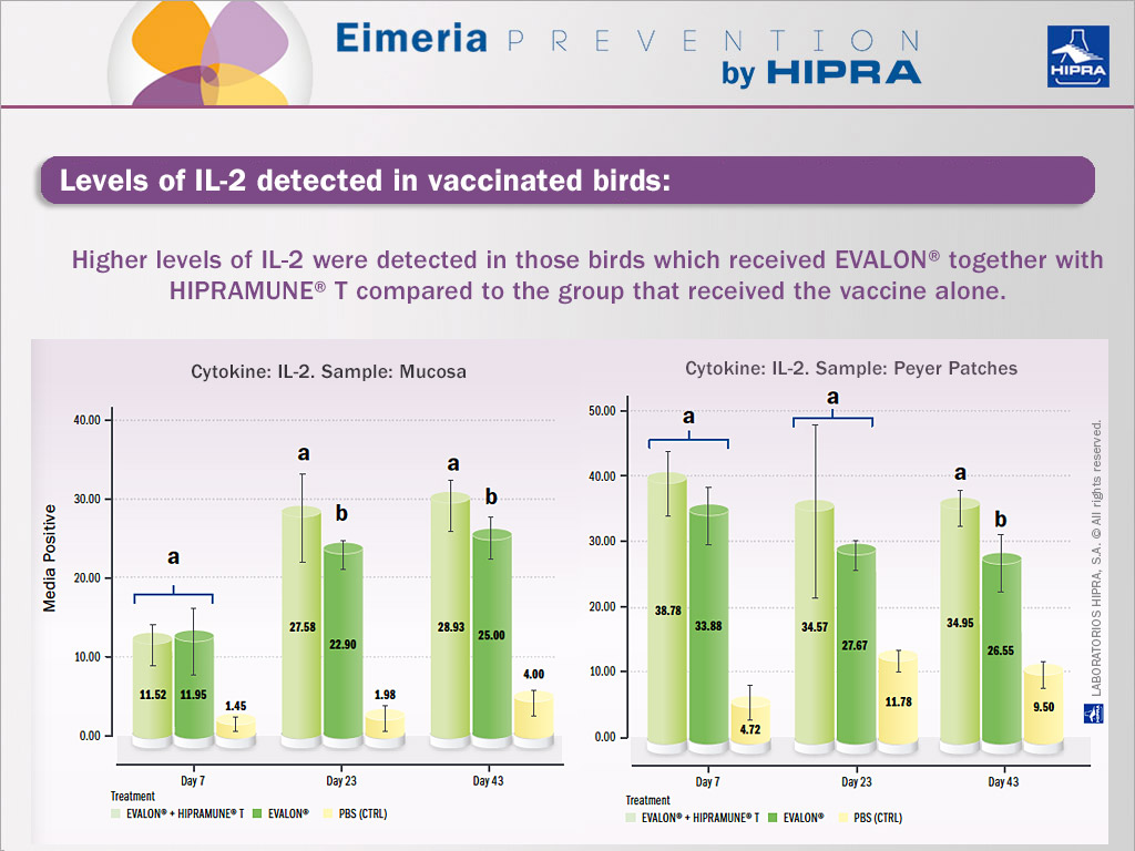 Levels-of-IL-2-in-animals-vaccinated-against-coccidiosis