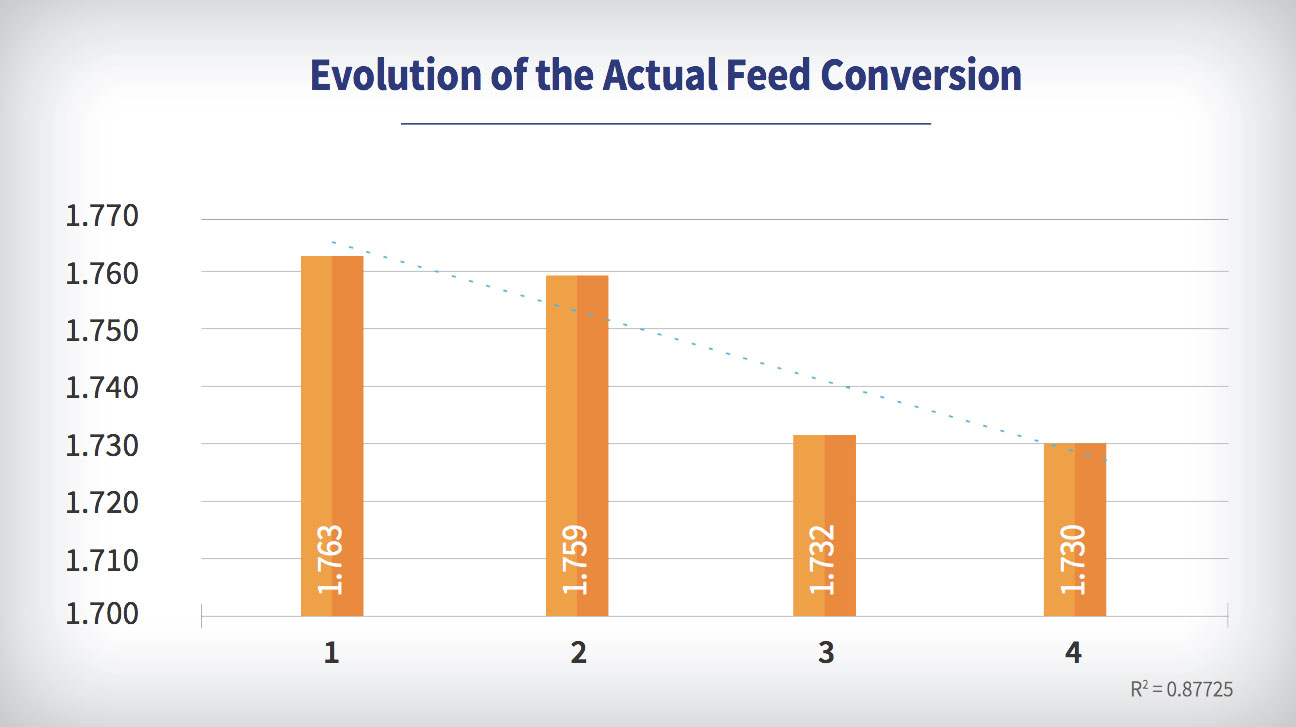 Coccidiosis in chickens: Evolution of the actual feed conversion 