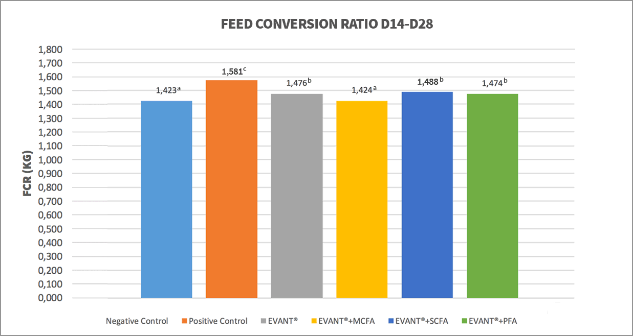 Coccidiosis in Chickens: Feed Conversion Ratio