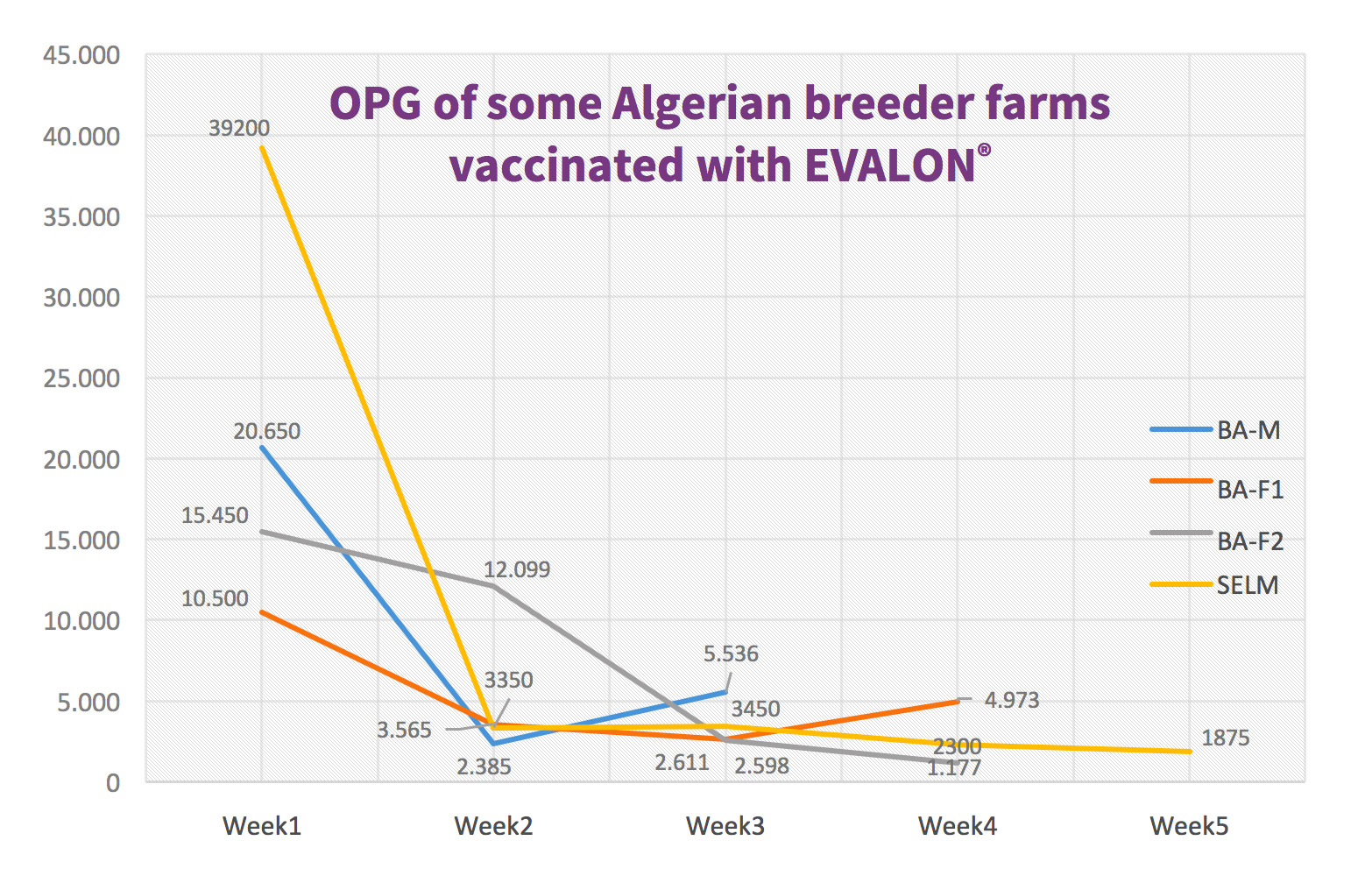 Eimeria Vaccination & OPG (Eimeria Oocyst Counting) in Algerian breeder farms