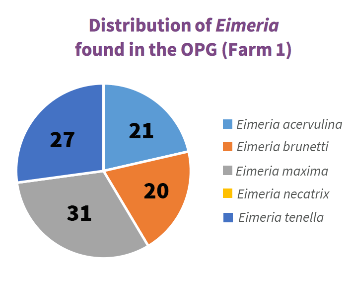 Eimeria Vaccination & OPG (Eimeria Oocyst Counting) Distribution