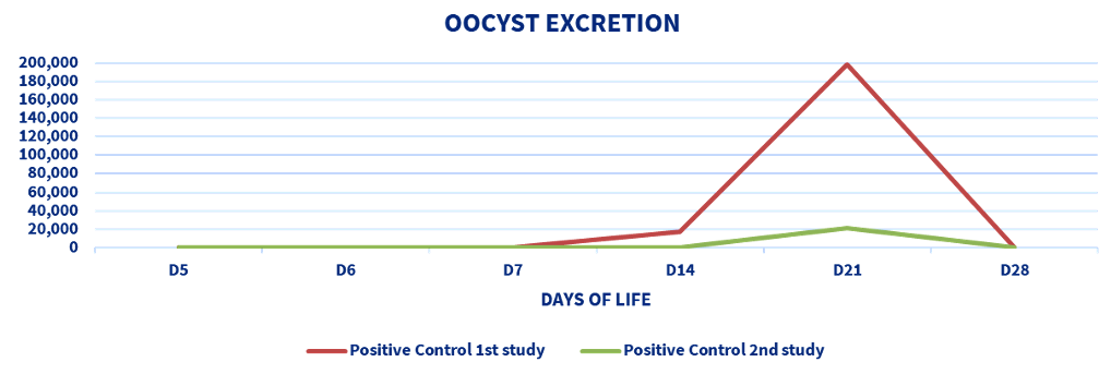 oocyst excretion: coccidiosis disease