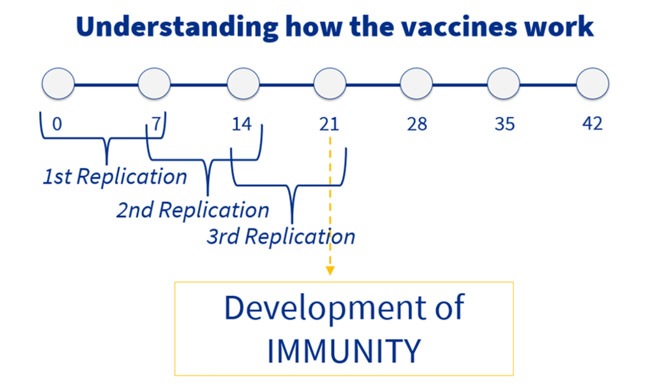 development of immunity