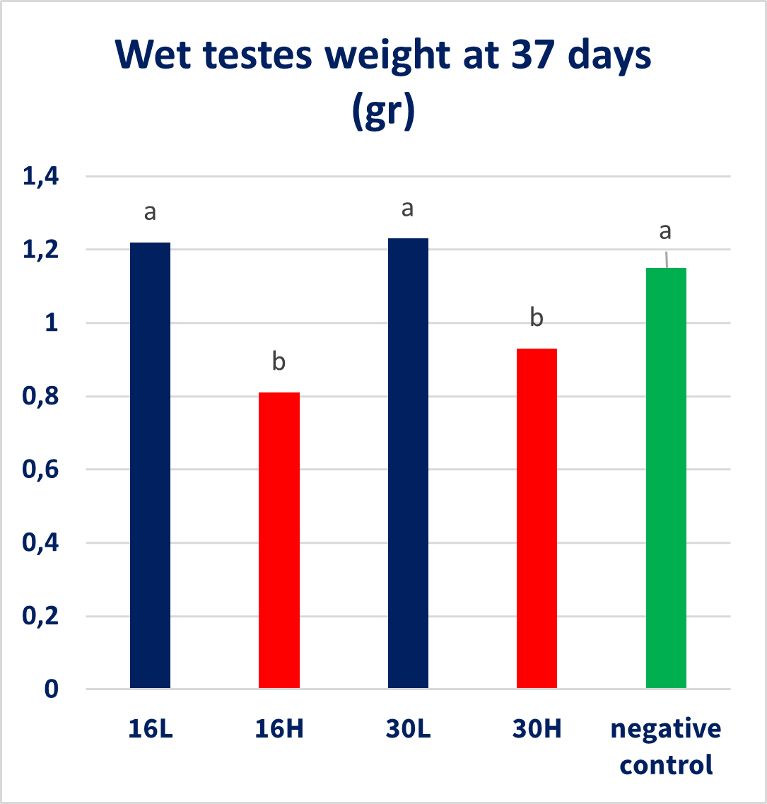 Wet testes