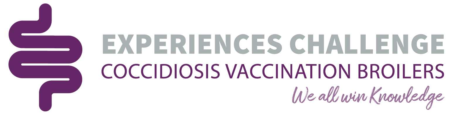 Experiences Challenge 2026