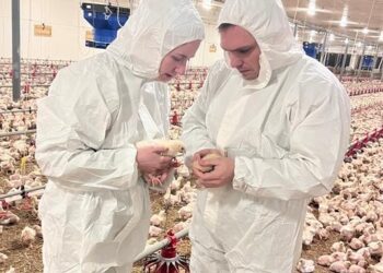 Top 3 Winners of the 2025 Coccidiosis Experiences Challenge